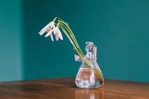 Gotas de nieve blancas en florero — Foto de Stock