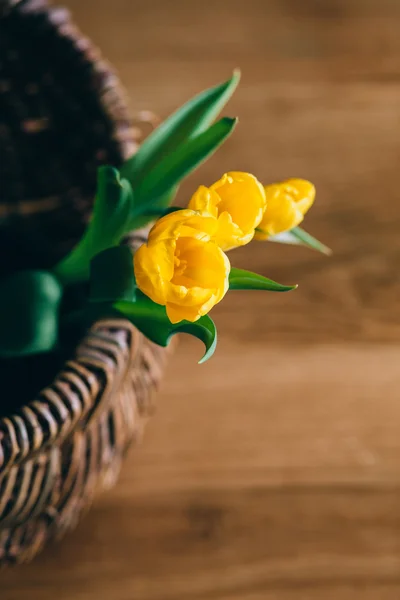 Tulipanes amarillos en cesta — Foto de Stock