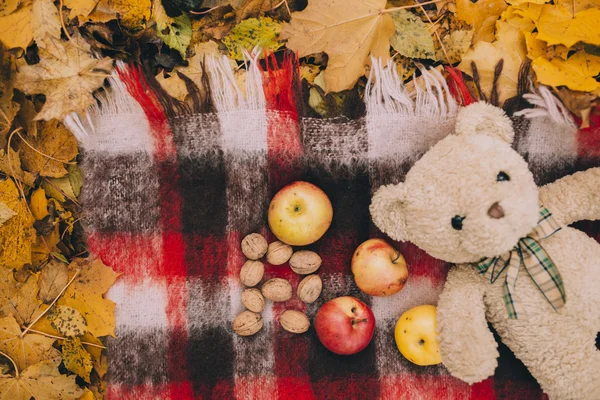 Niedźwiedź zabawka w jesieni Park — Zdjęcie stockowe