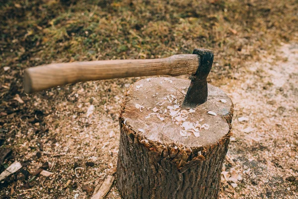 Hacha vieja en un muñón — Foto de Stock