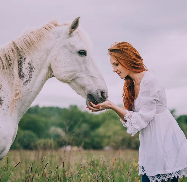 Kadın beslenme beyaz at — Stok fotoğraf