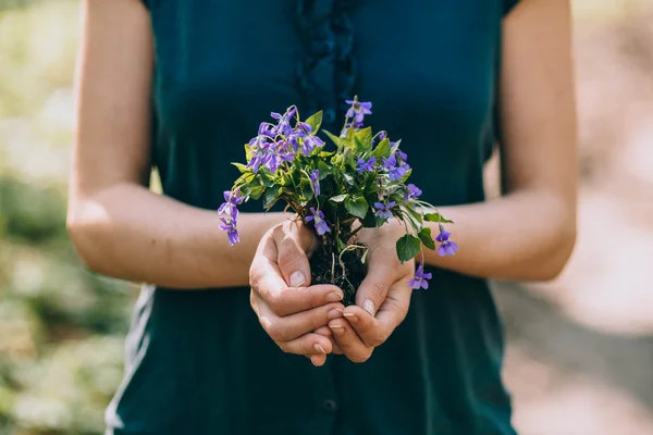 Fioletowe kwiaty w rękach — Zdjęcie stockowe