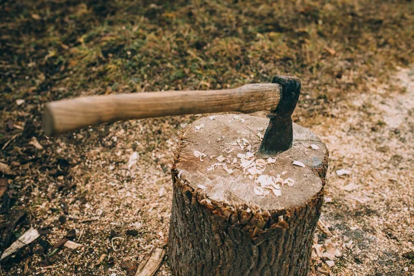 Oude bijl in een stomp — Stockfoto