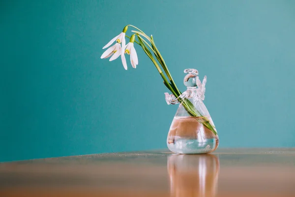 Gotas de nieve blancas en florero —  Fotos de Stock