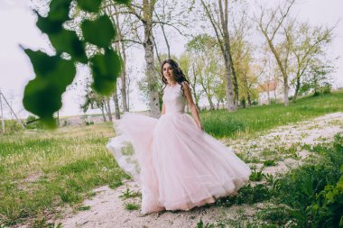 Ivy ile duvara gelin