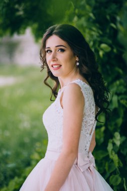 Ivy ile duvara gelin