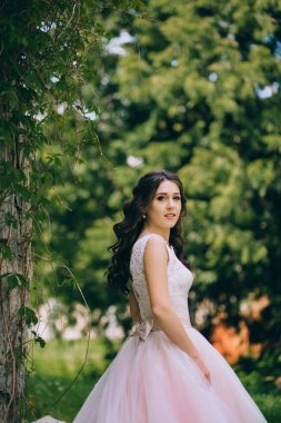 Ivy ile duvara gelin