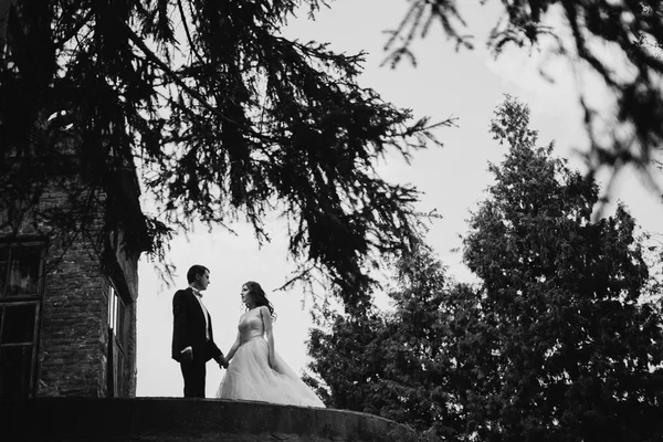 Recién casados junto al viejo castillo — Foto de Stock