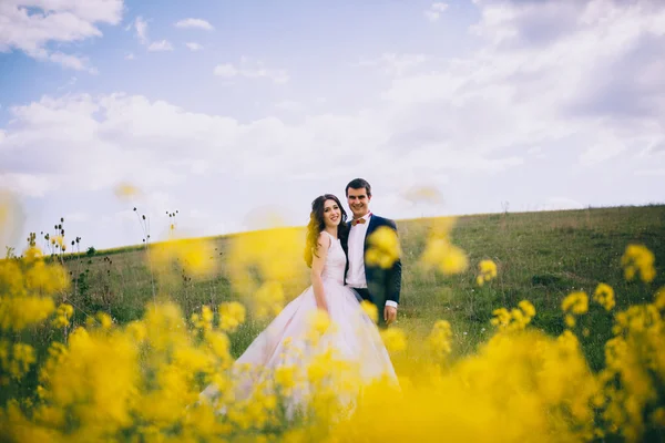 Mariés sur une promenade de mariage — Photo