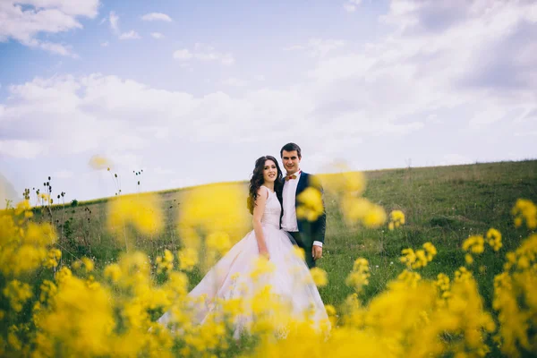 Mariés sur une promenade de mariage — Photo