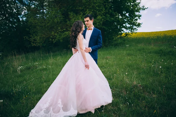 Newlyweds on a wedding walk — Stock Photo, Image