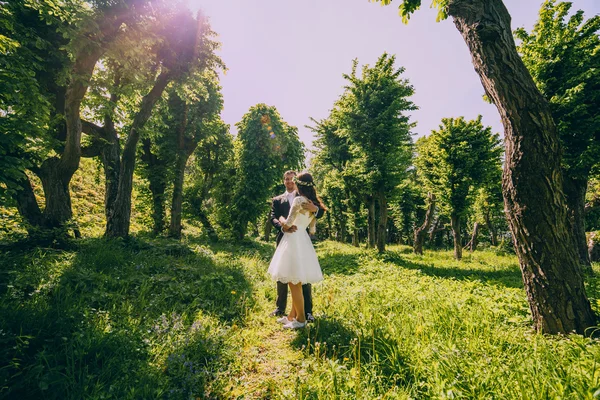 Sposi novelli su una passeggiata nuziale — Foto Stock