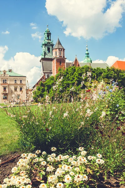 Vista de los monumentos de Wawel —  Fotos de Stock