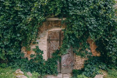 Asması kaplama duvar