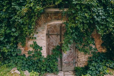 Asması kaplama duvar