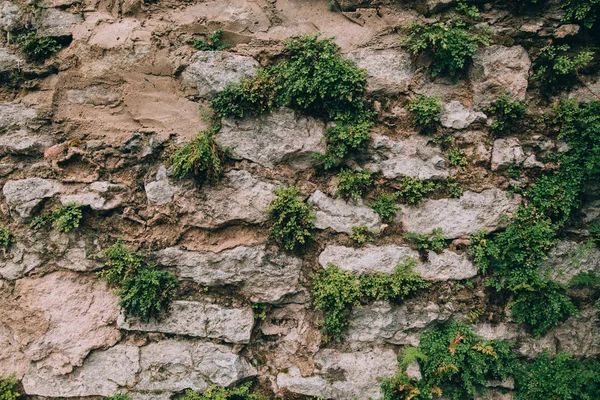 Gamla stenmuren — Stockfoto