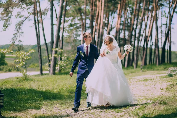 Recién casados en un paseo de bodas — Foto de Stock