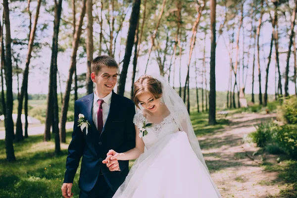 Mariés sur une promenade de mariage — Photo