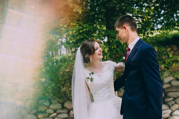 Recém-casados em uma caminhada de casamento — Fotografia de Stock