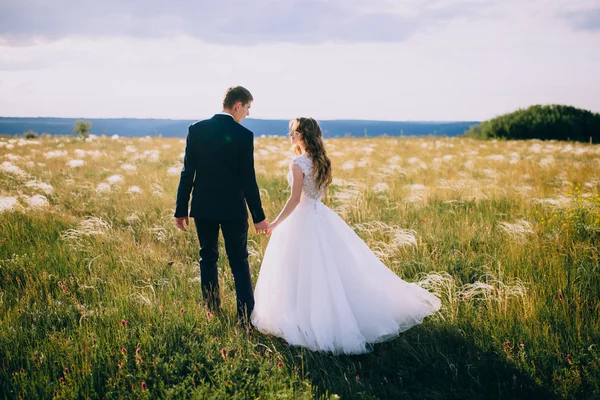 Novia y novio en un acantilado —  Fotos de Stock