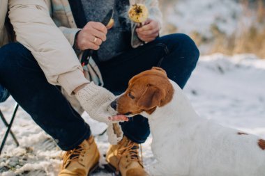 Aile pikniği: Eldiven takılmış, karın içinde neşeli Jack Russell köpeği besliyor, kız ve baba açık havada sıcak bir anı paylaşıyor.