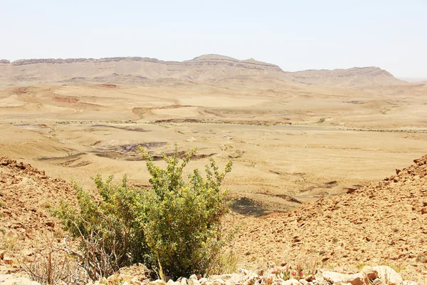 Negev-öknen och Ramon kratern. — Stockfoto