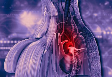 Bedende insan kalbi. Soyut modern tıbbi geçmiş. 3d illüstrasyon