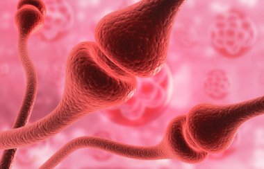 Bilimsel altyapıdaki nöronlar. 3d illüstrasyon