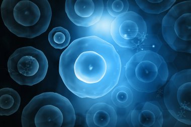 Bilimsel altyapıda insan hücre anatomisi. 3d illüstrasyon