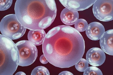 İnsan hücrelerinin ya da embriyonik kök hücrelerin mikroskobik görüntüsü. 3d illüstrasyon.