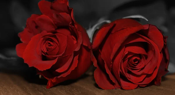 kırmızı gül rodes