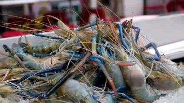 Mavi sepetteki dev tatlı su karidesini yakından çek. Yüksek kalite 4k görüntü