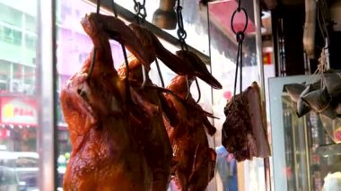 Pekin rostosu ördeği oltaya takıldı. Yüksek kalite 4k görüntü