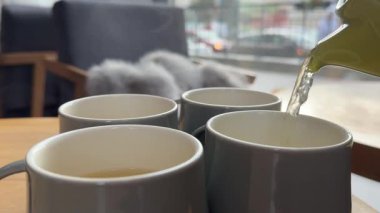 Turunçgil çayını yakın plan bardağa dolduruyorum. Nane ve portakallı taze bitki çayı, sağlıklı bir sabah, detoks içeceği. Yüksek kalite 4k görüntü