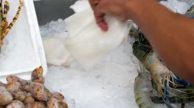 Balık pazarında mürekkep balığını buzlu deniz ürünleri buzuna koy. Tazelik ve kaliteyi göstermek için mükemmel. Deniz ürünleri pazarlama, aşçılık sunumları ve eğitim içeriği için ideal.