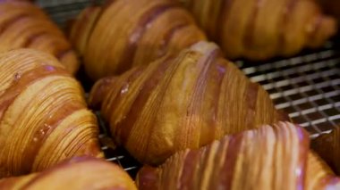 Restorandaki büfe masasında ya da otelde kahvaltıda ya da kahvaltıda taze pişmiş hamur işi kruvasan ve çörekler sergileniyor. Yemek blogu ve yemek servisi için sabah yemeği konsepti. Yüksek kalite 4k