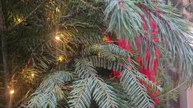 Gündüz vakti oturma odasındaki aydınlatılmış Noel ağacının altında duran renkli kurdeleler ve dekoratif kağıtlara sarılı hediye kutuları. Yüksek kalite 4k görüntü