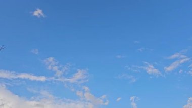 Gökyüzündeki yumuşak mavi bulutlar arasından yeşil bir alana iniyor. Yağmurdan sonra küçük bir gökkuşağı ortaya çıkıyor. Huzurlu doğal manzarayı ve huzurlu manzarayı gösteriyor.