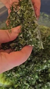 Ev sahibesi turta için dolguları karıştırıyor. Peynirli turta yapmak için peynirli ıspanak. Ispanaklı turta yoğurdum. Ispanaklı turta pişir. Yeşillik ekle. Yemeklere donmuş dereotu ekle.