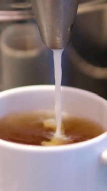 Barista kahve makinesinde kahve yapıyor. Kahve ekipmanı konsepti. Kahve ya da çaya süt ekle..