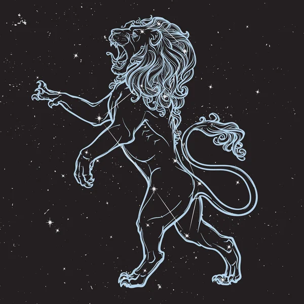 Sketch drawing of rearing lion isolated on nightsky background. — Stock Vector