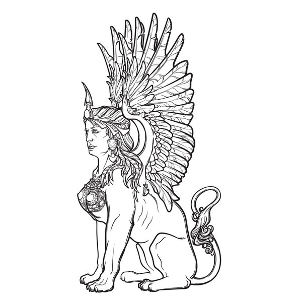 Sketch drawing of sitting sphinx isolated on white background.