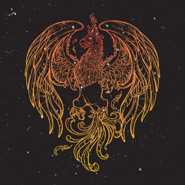 Dessin de Phoenix. Fond du ciel nocturne . — Image vectorielle