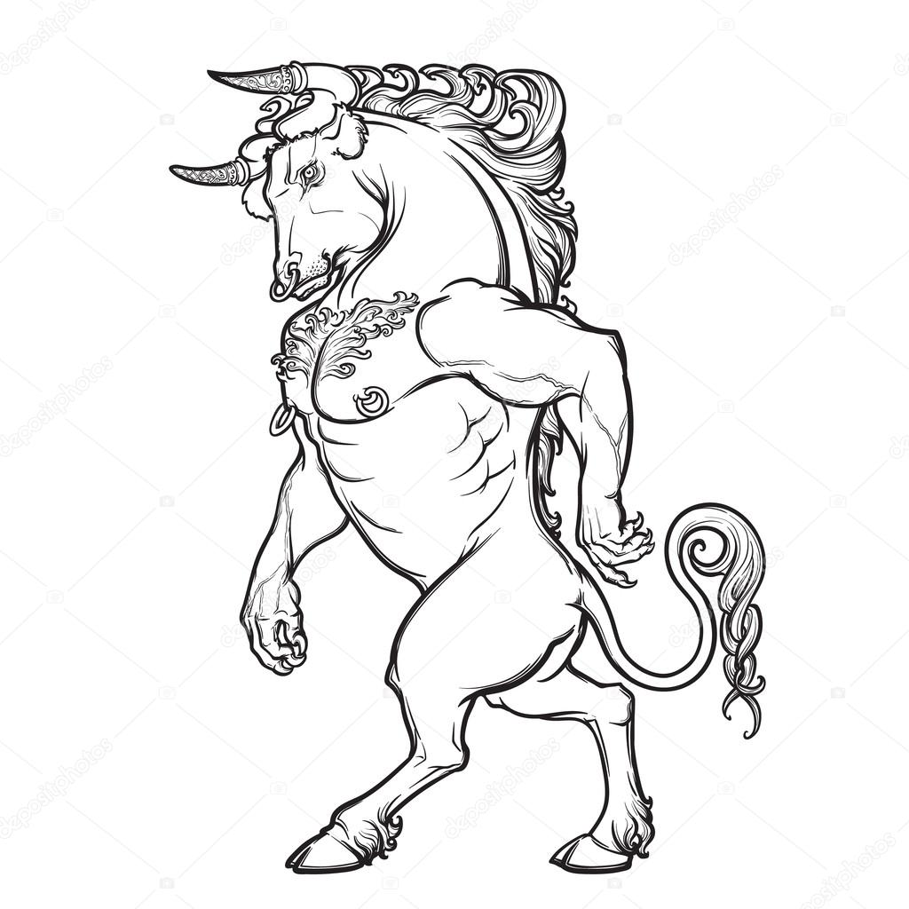 Minotaur drawing Sketch drawing of Minotaur on white background
