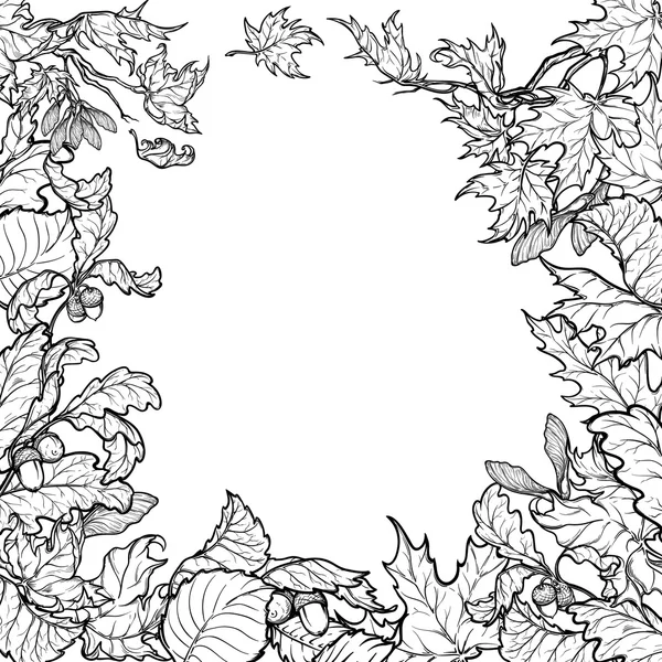 秋天的树叶方形框架。黑色和白色素描 — 图库矢量图片