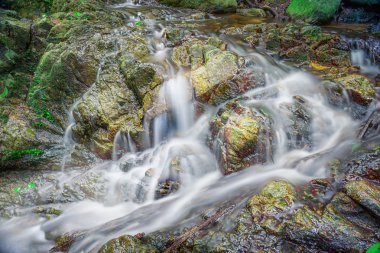 şelale derin ormandaki bir dağ yamacında. Yağmur ormanlarında tropik şelale.