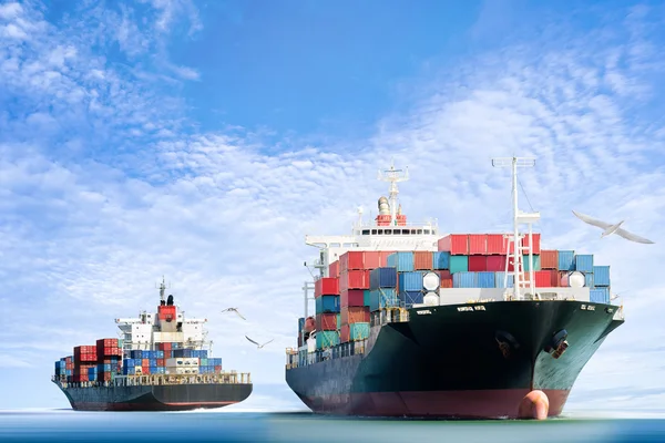 Container lastfartyg i havet med fåglar som flyger i blå himmel, godstransporter. — Stockfoto