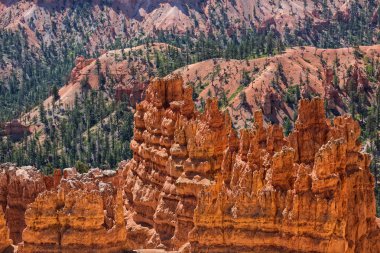 Bryce Canyon içinde Hoodoos