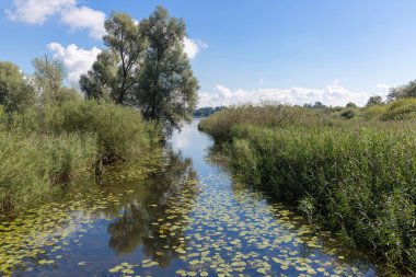 Bisiklet yolu çevresinde göl Chiemsee, Bavyera, Almanya