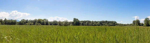 Cykelled runt sjön Chiemsee, Bayern, Tyskland — Stockfoto